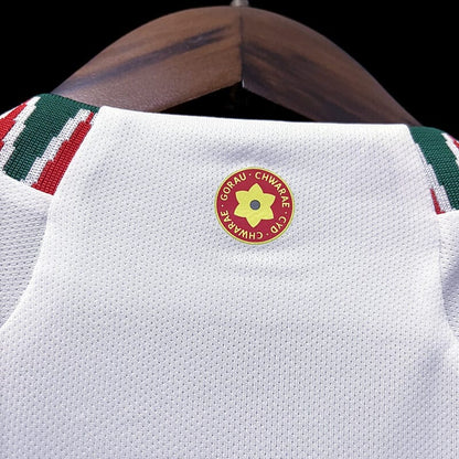 WALES 2022 WORLD CUP AWAY KIT – FAN VERSION