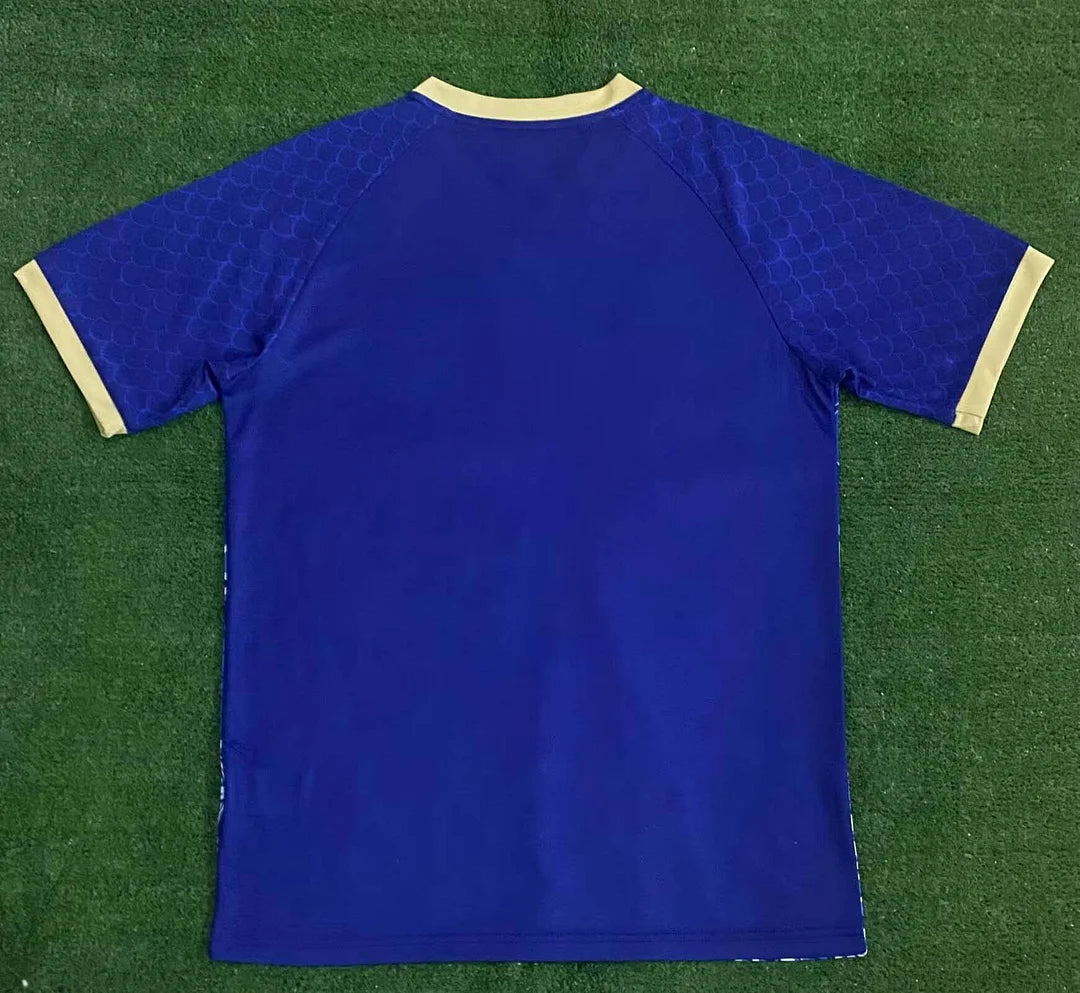 2024 Japan Special Edition Blue Football Shirt