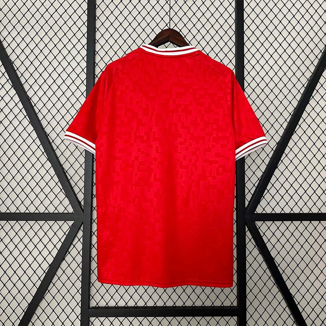 2024 Denmark National Team Home Football Shirt